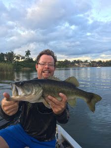 Largemouth Bass Run in Florida